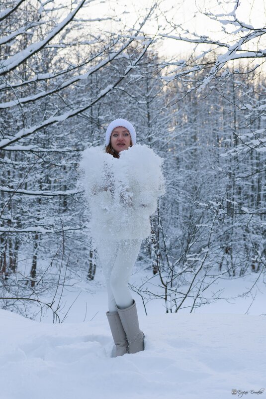Снежные наряды - Евгений Ермаков