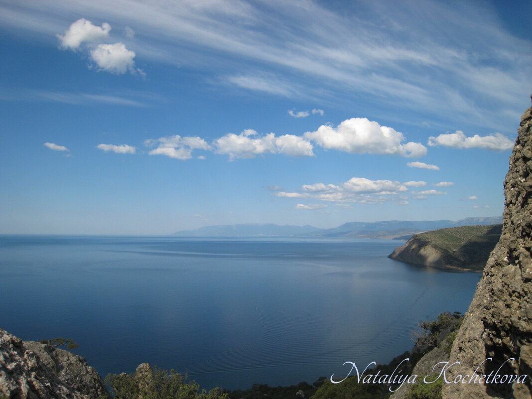 Природа Крыма - Amazing Cosmea Природа Крыма - Amazing Cosmea