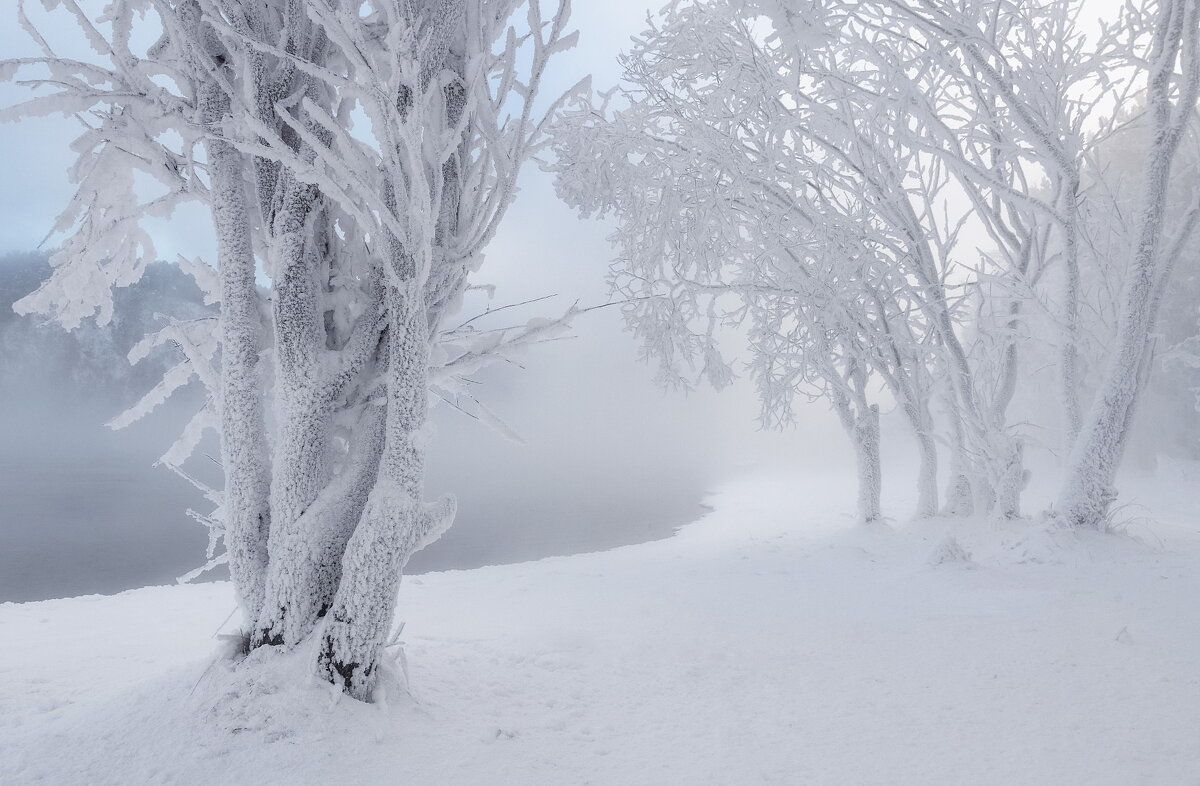 Зимнее безмолвие - Марина Фомина.