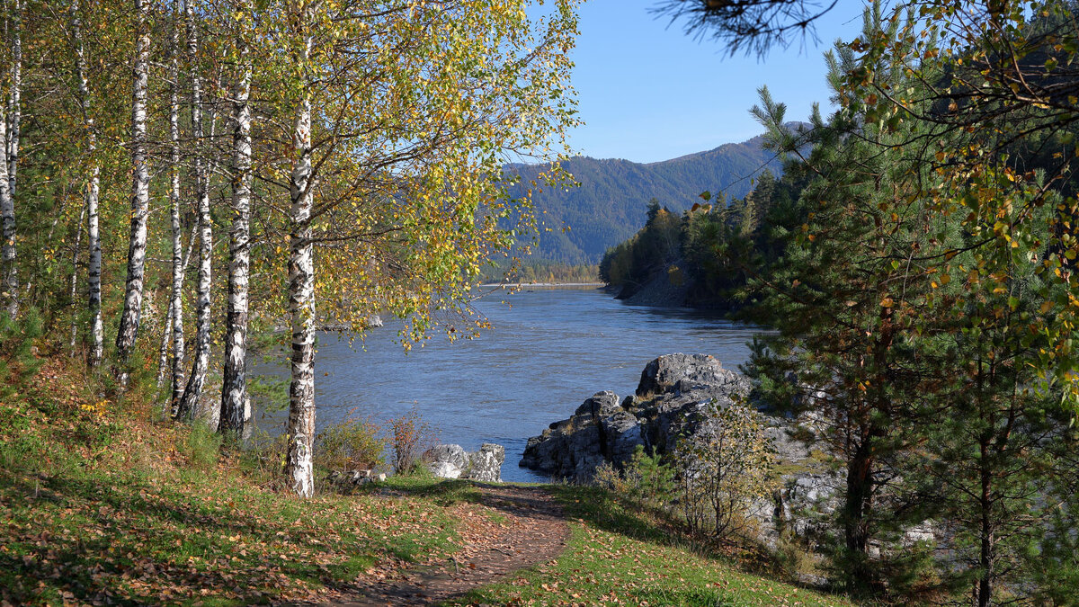 *** - владимир 