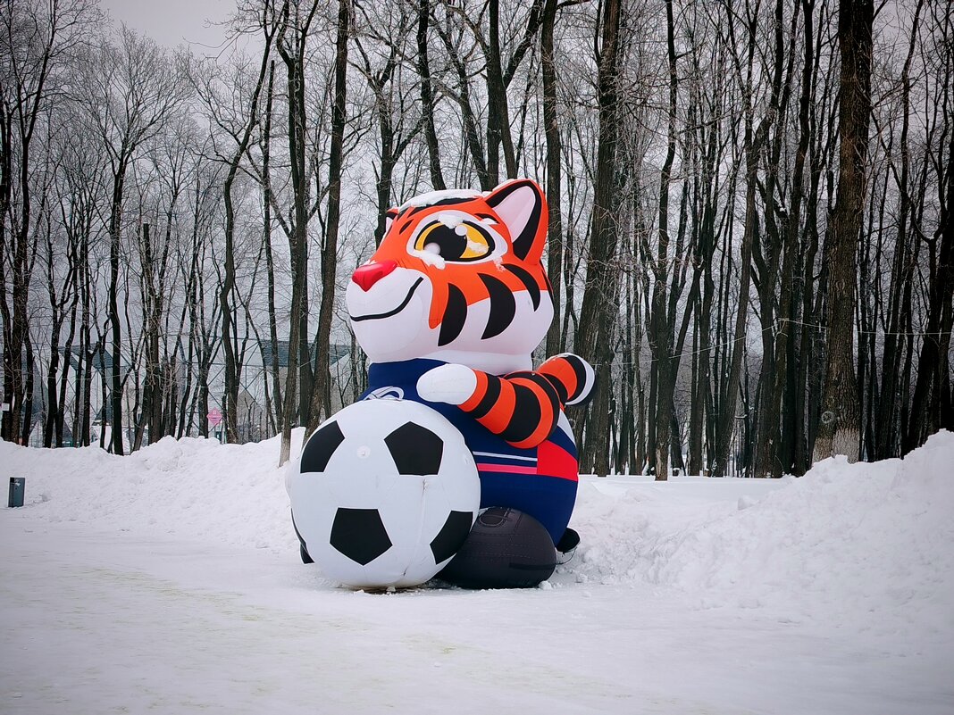 В Самаре в лесу водятся не только зайчата, но и тигрята - Надежда 