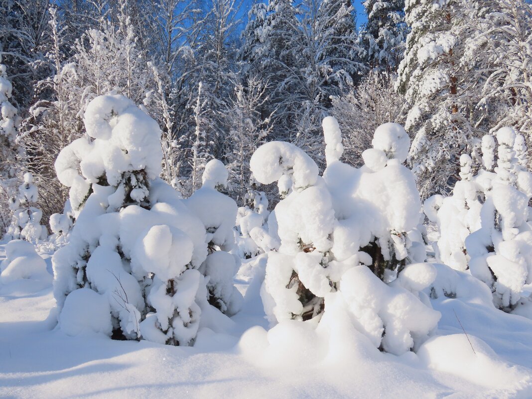 Зимний день - Ольга Митрофанова