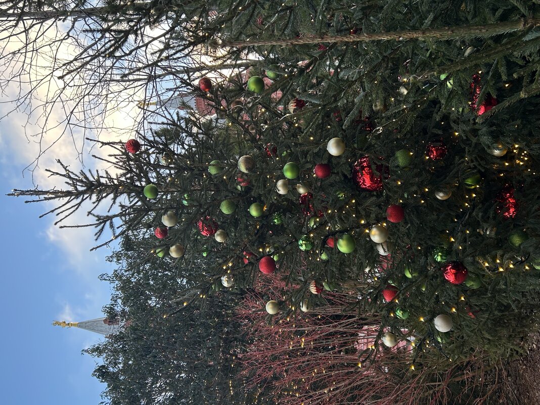 Просто елка - Натали 