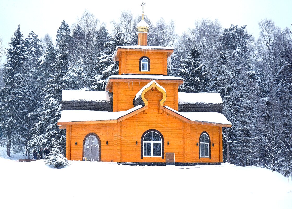Зима за городом - Татьяна Тюменка