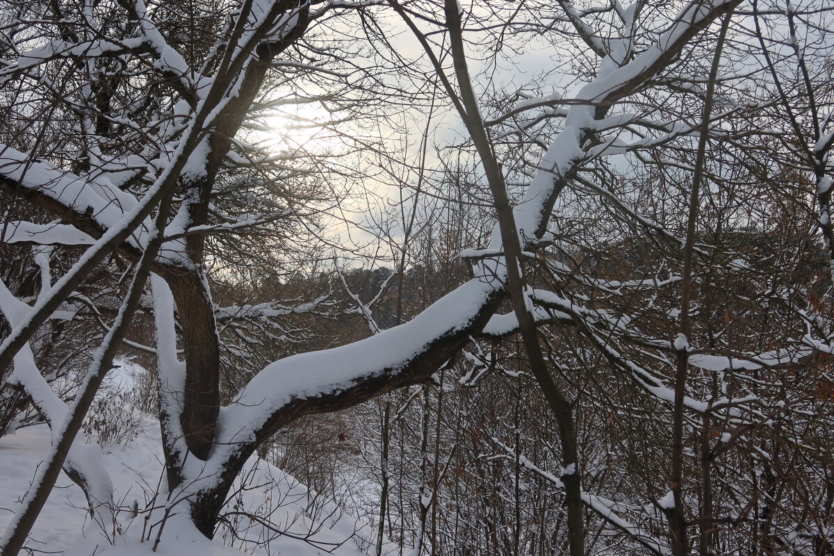 Зима - Дмитрий И_