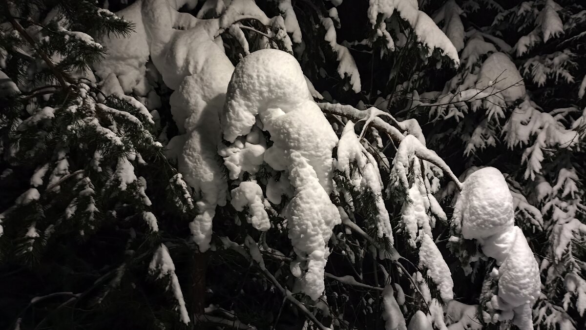 Зима за городом - Татьяна Тюменка