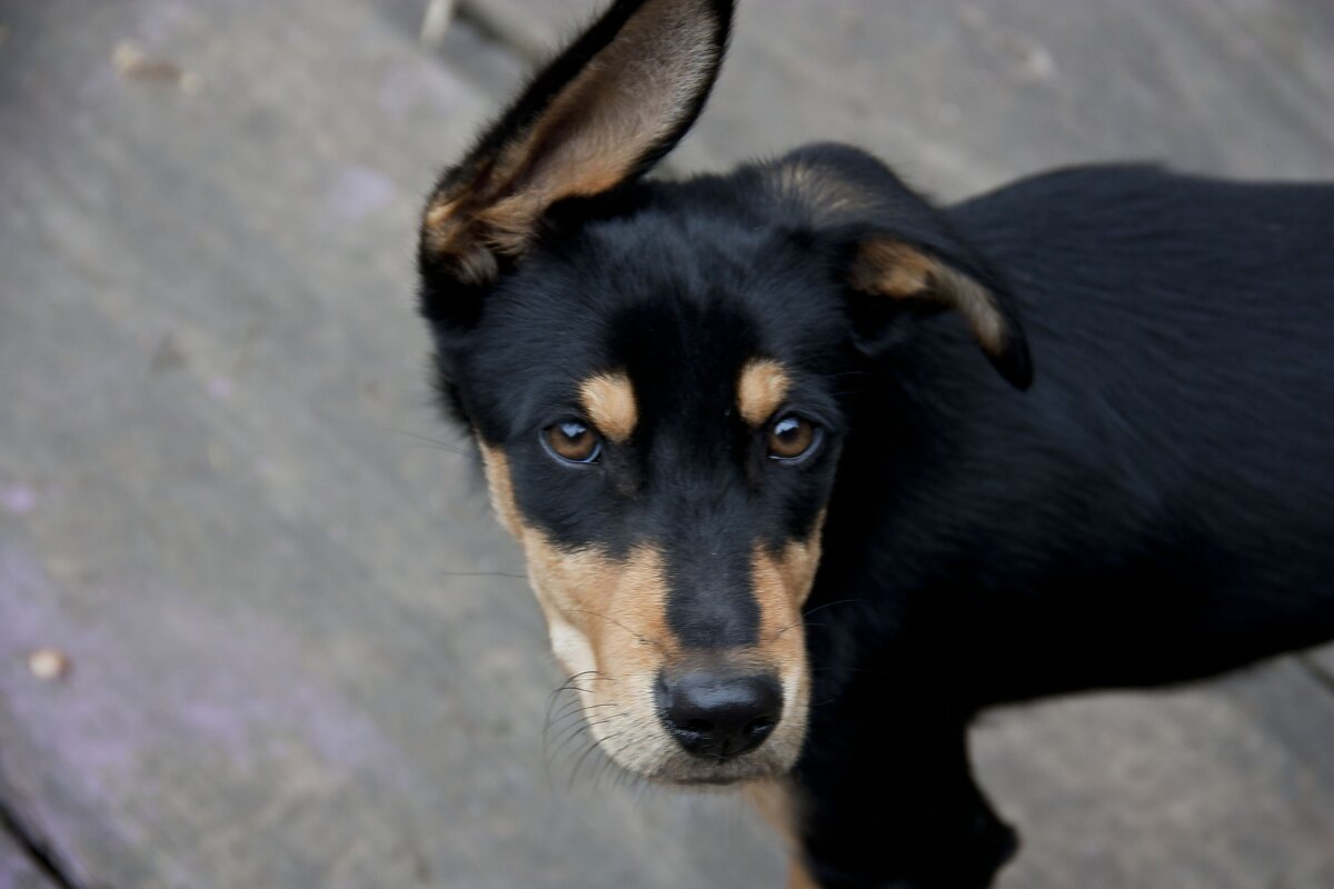 ..... - Виктор 