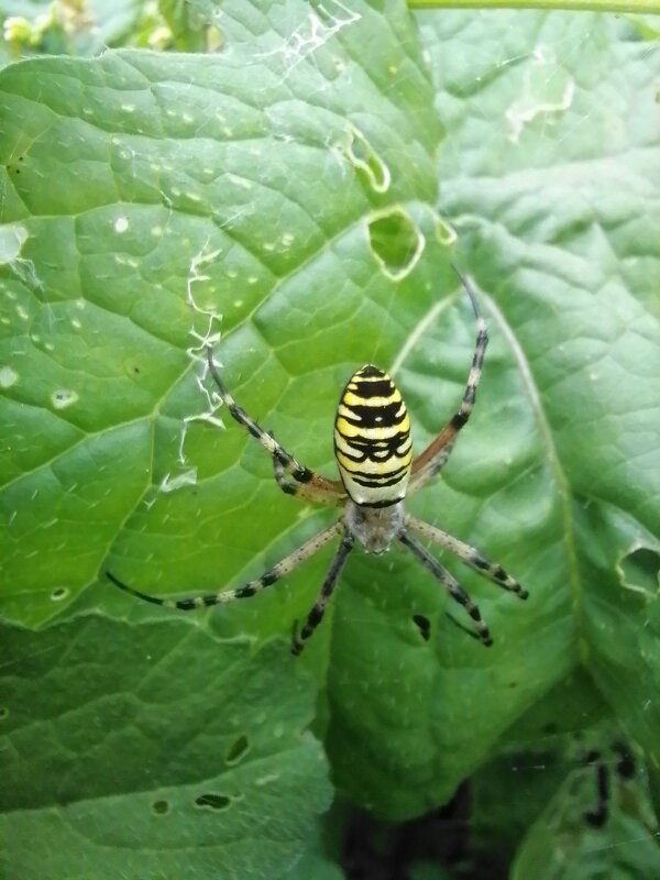 *** - Зоя Мишина *** - Зоя Мишина