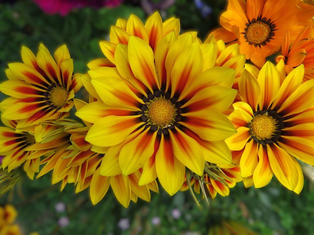 Вспоминая лето - Лариса С. Вспоминая лето - Лариса С.