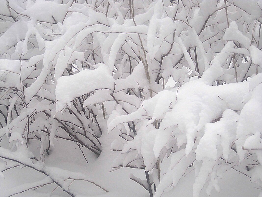 Замело - Елена Семигина