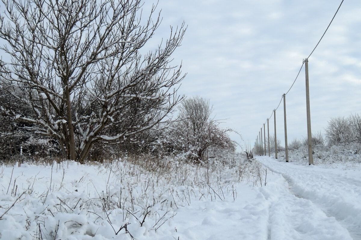 Зима - Валерий Ткаченко