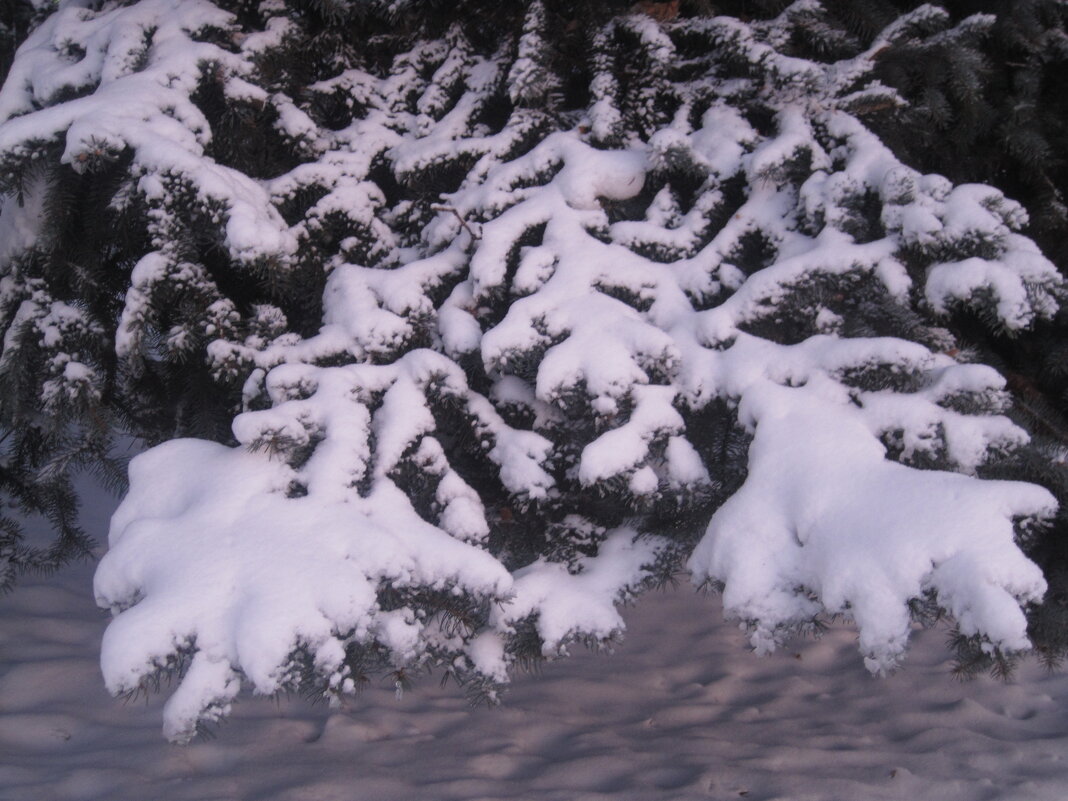 Зимнее - Елена Семигина