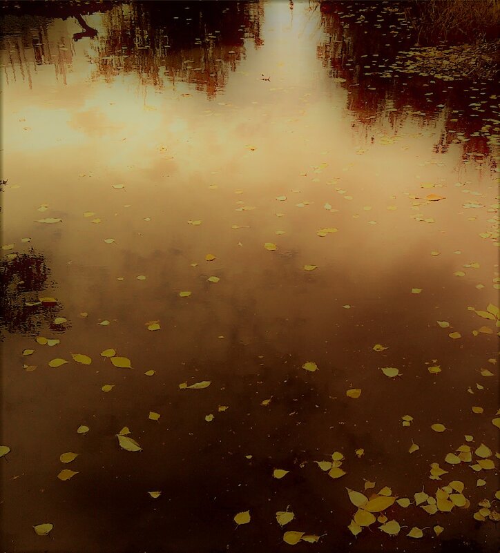 Осенью - Nora Nowhere