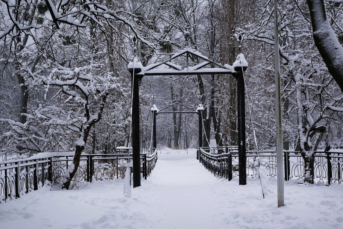 Парк Южный, Калининград - Рита Симонова