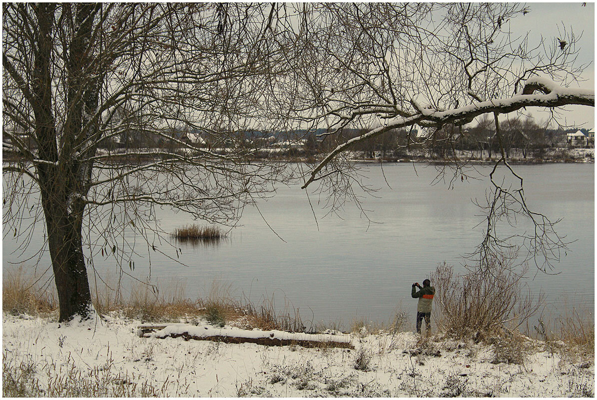 *** - Aleksandr Gal *** - Aleksandr Gal