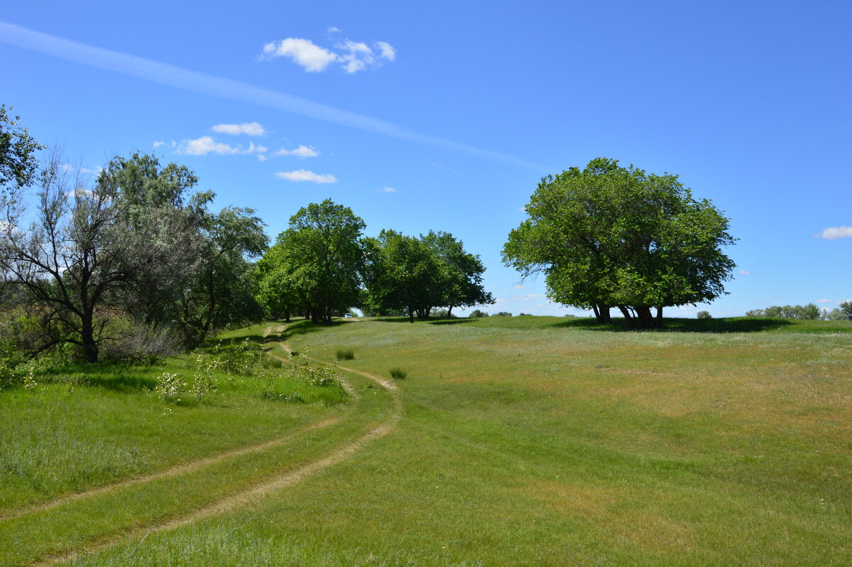 Донские зарисовки. - Виктор 