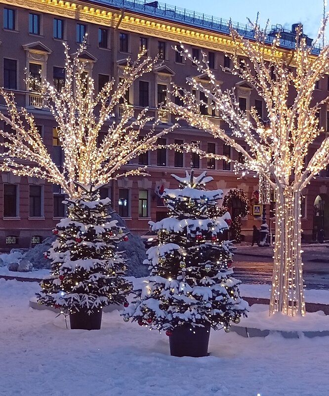 Новогодний Петербург . Зимний сад у Мариинского дворца. - Наталья ***