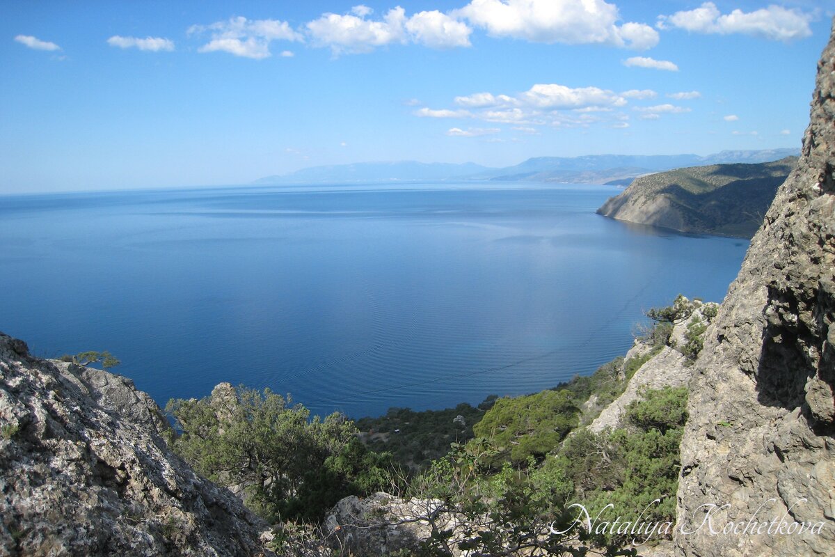 Природа Крыма - Amazing Cosmea