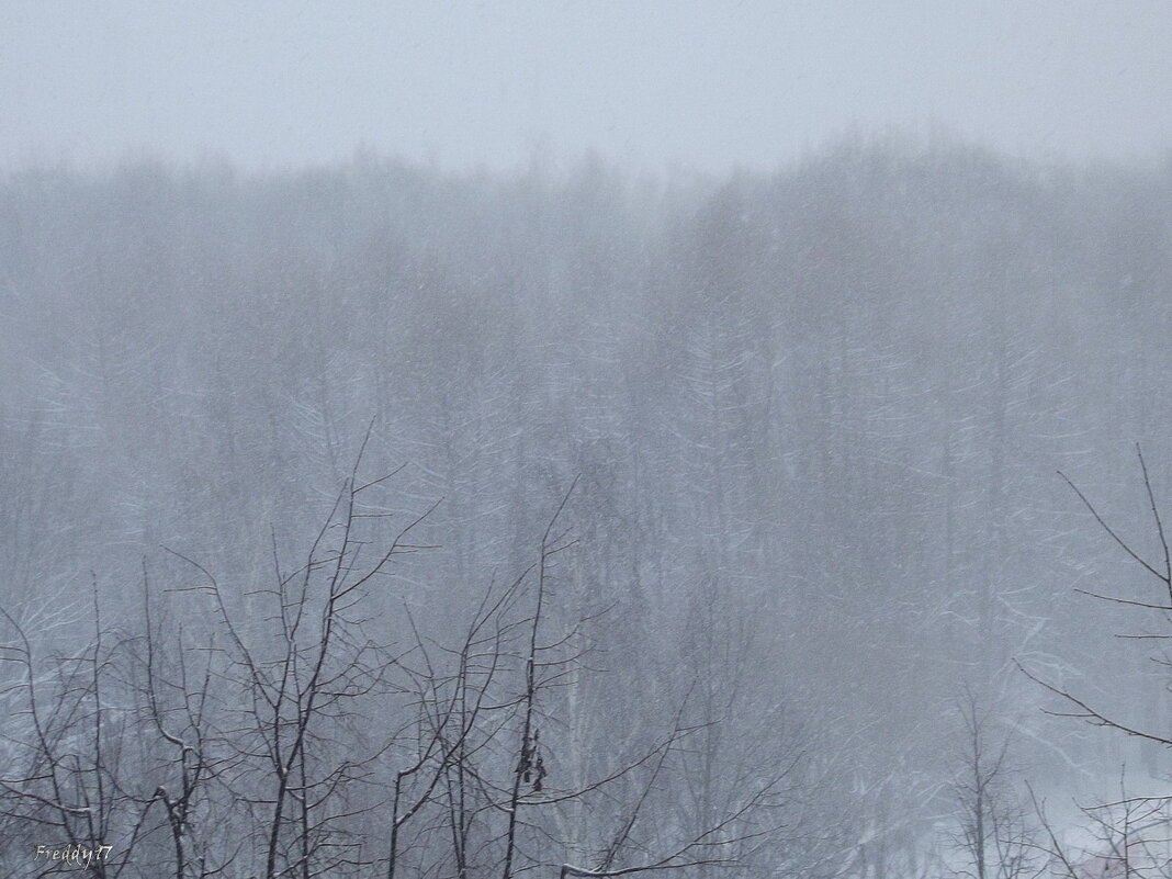 Снег идёт... - Freddy 97