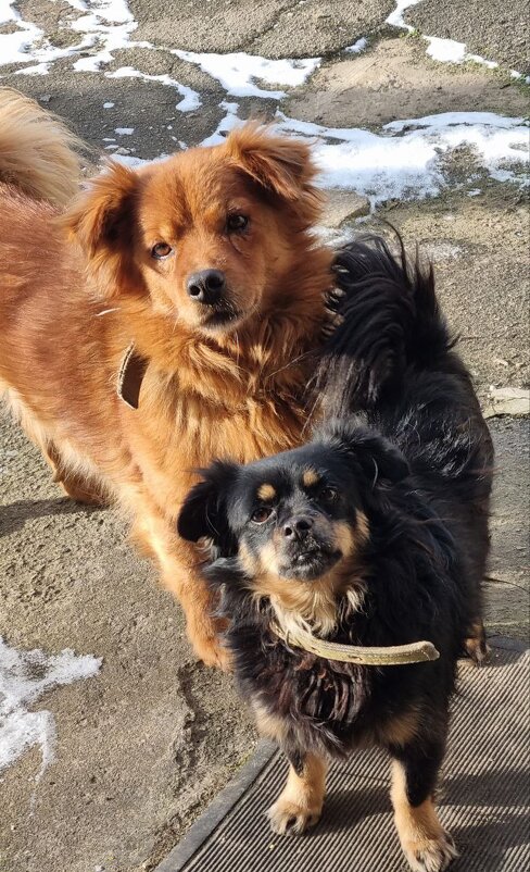 Остановись, мгновенье! :) - Наталья 