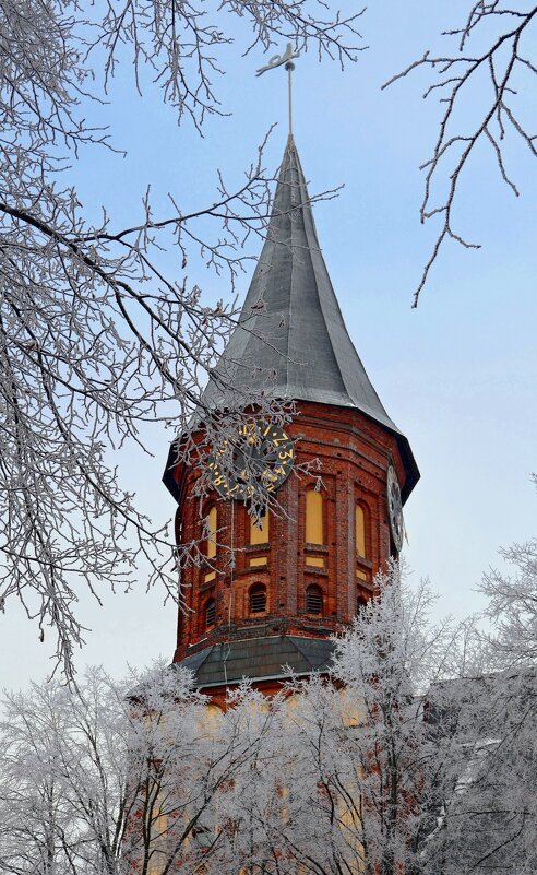 Башня Органного собора - Сергей Карачин