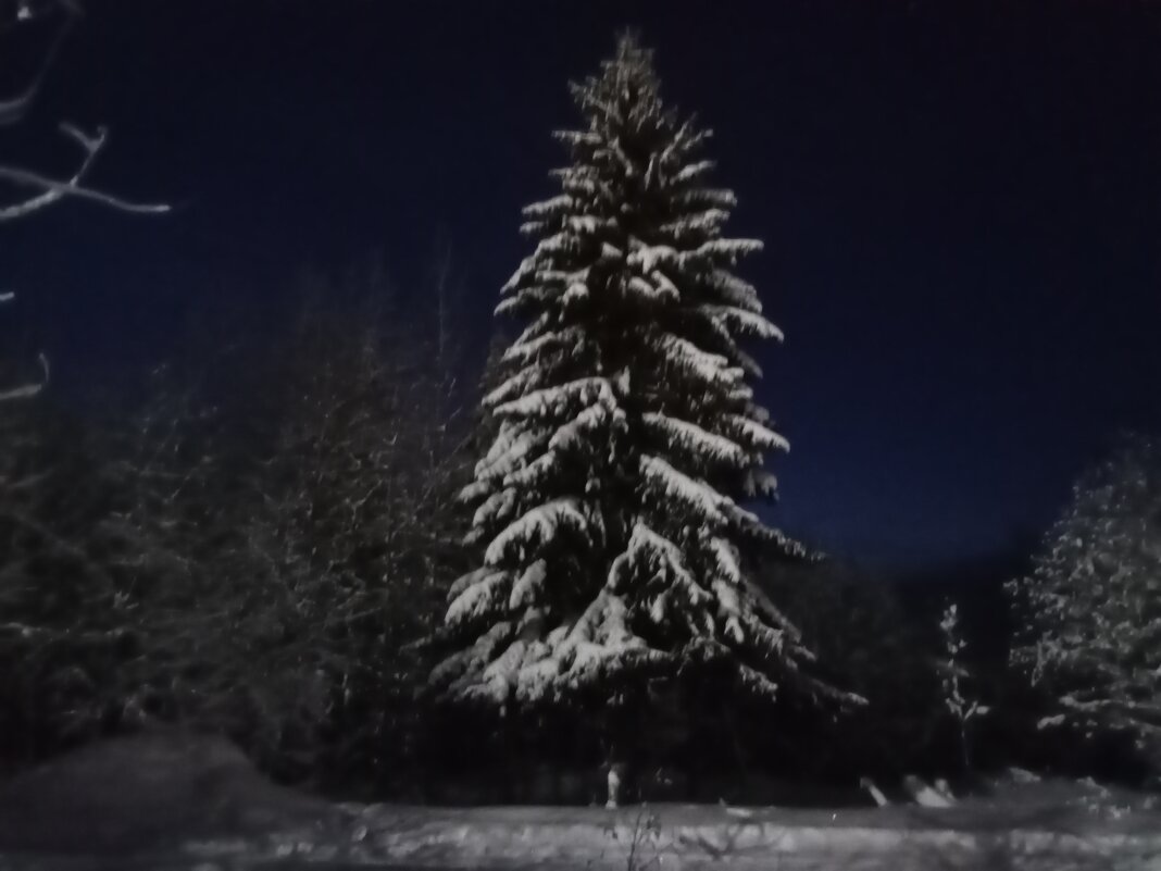 В ночь перед Рождеством - Виктор 
