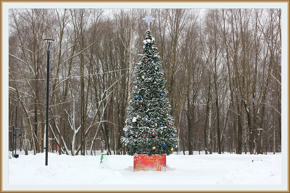 Новогоднее украшение городского парка - Alisia La DEMA Новогоднее украшение городского парка - Alisia La DEMA
