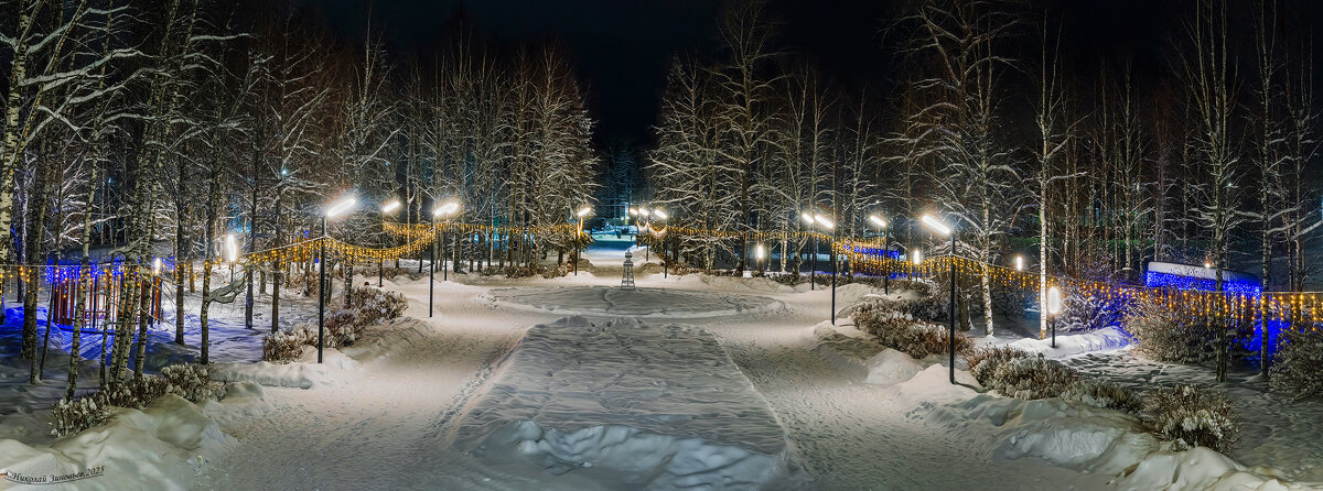 Ночь в новогоднем парке Ухты - Николай Зиновьев