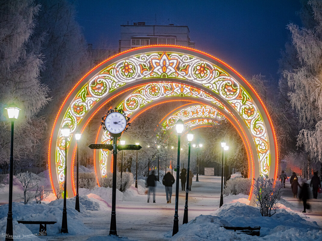 Яблоневая аллея морозной зимой. Ухта, Коми. - Николай Зиновьев Яблоневая аллея морозной зимой. Ухта, Коми. - Николай Зиновьев