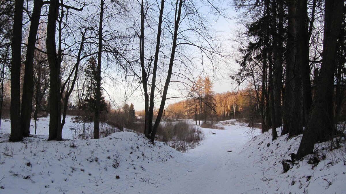 Павловский парк - Наталья Герасимова
