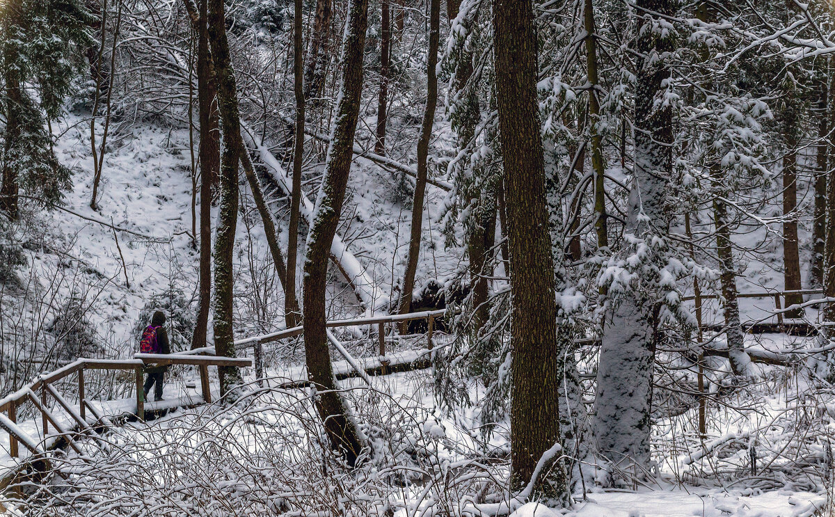С родника - Сергей Цветков