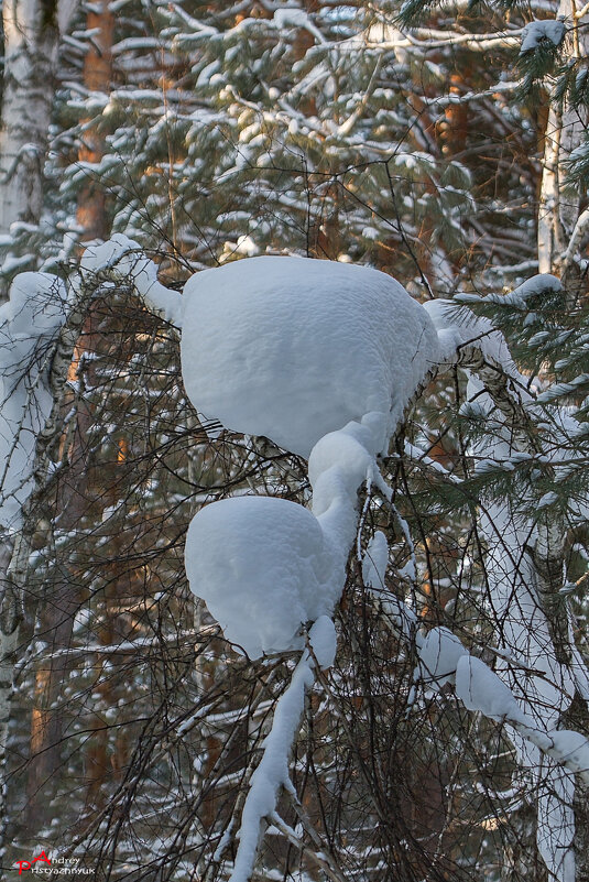 Хлопья снега - Андрей Пристяжнюк