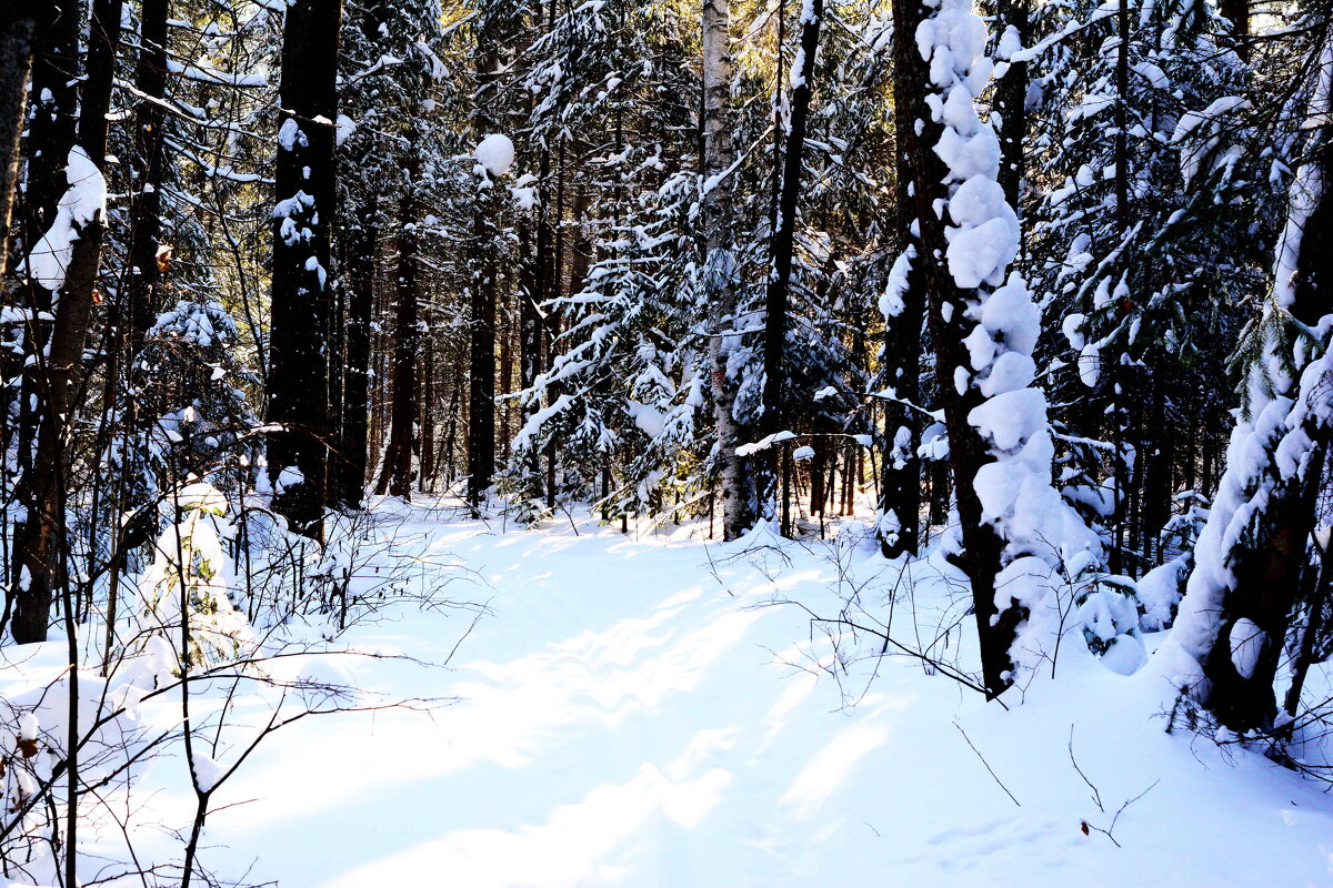 *** - Александр *** - Александр