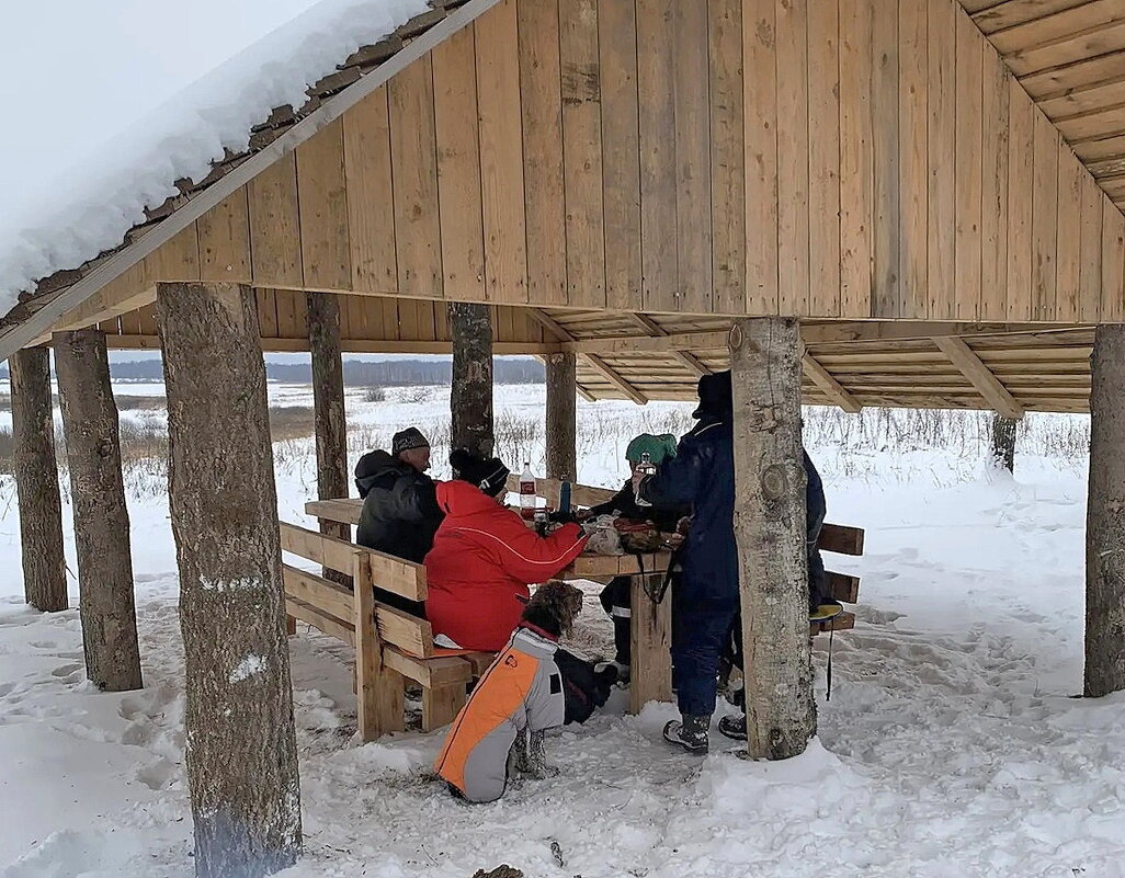 Пикник - Ольга Довженко