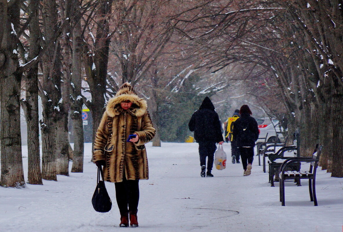 Непогода... - Николай Саржанов