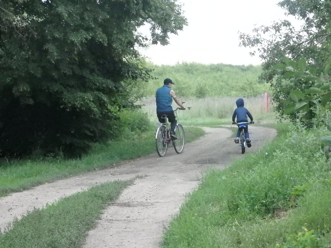 По дорожке - ZNatasha -