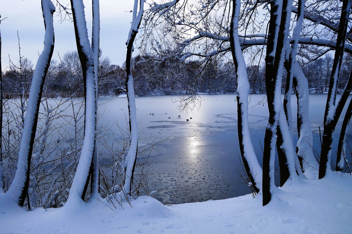 Парк Южный, Калининград - Рита Симонова Парк Южный, Калининград - Рита Симонова
