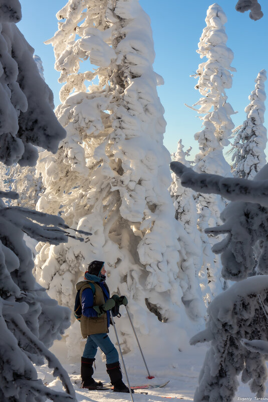 Лыжница - Евгений Тарасов 