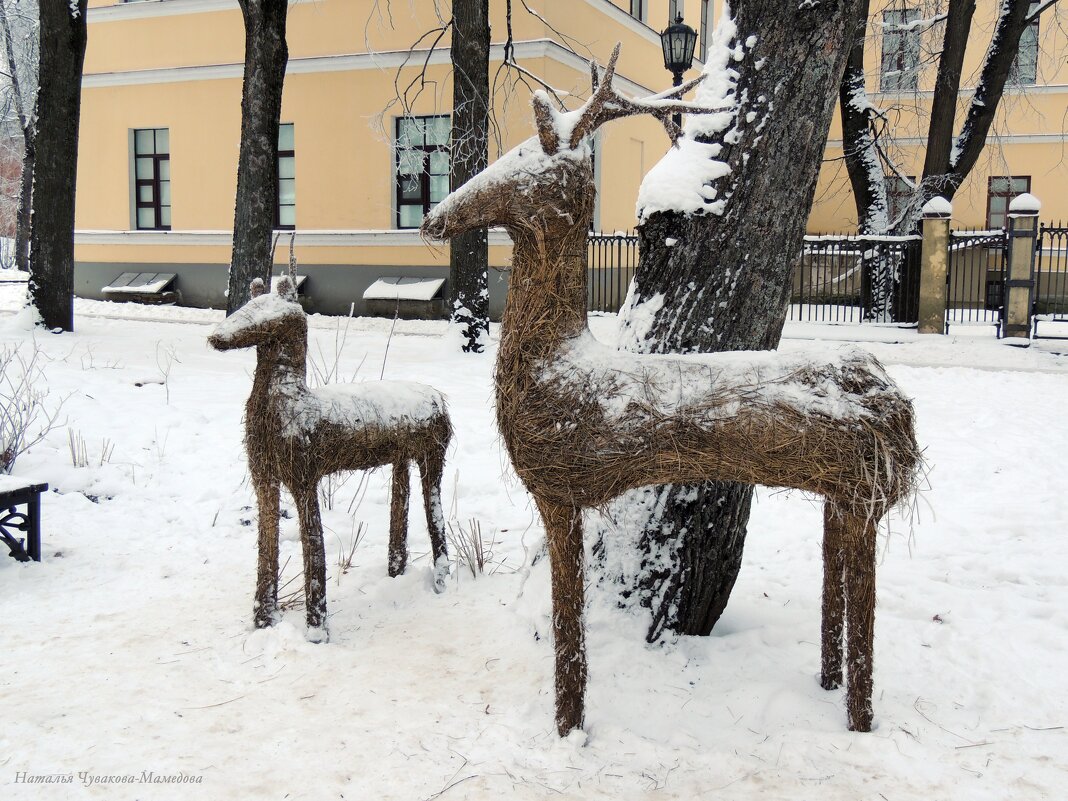 Соломенные  Олени - Ната57 Наталья Мамедова