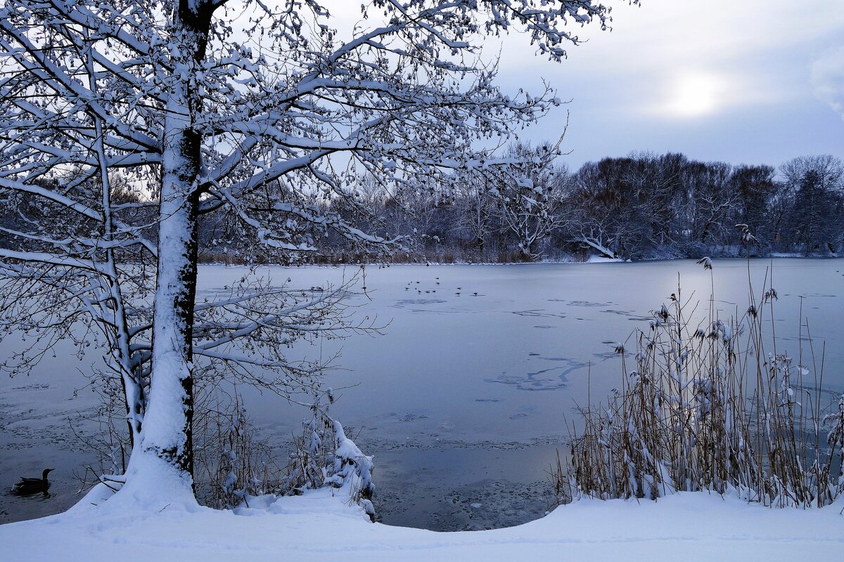 Парк Южный, Калининград - Рита Симонова