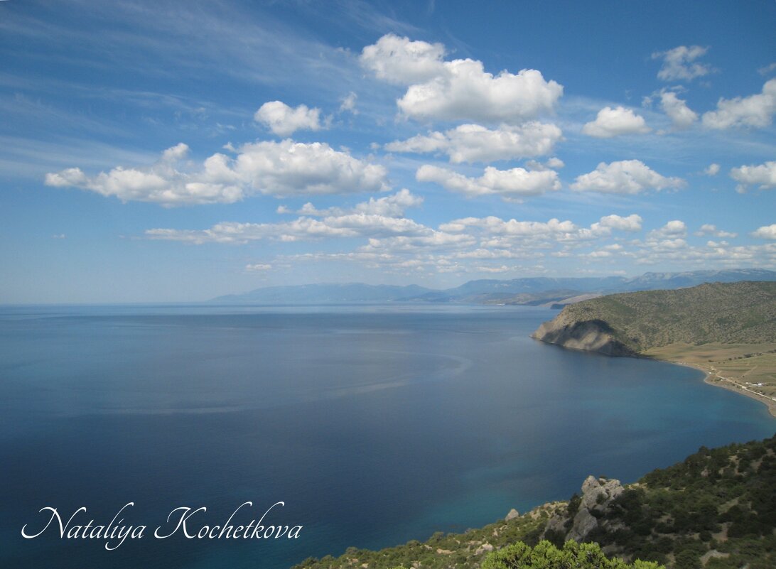 Природа Крыма - Amazing Cosmea