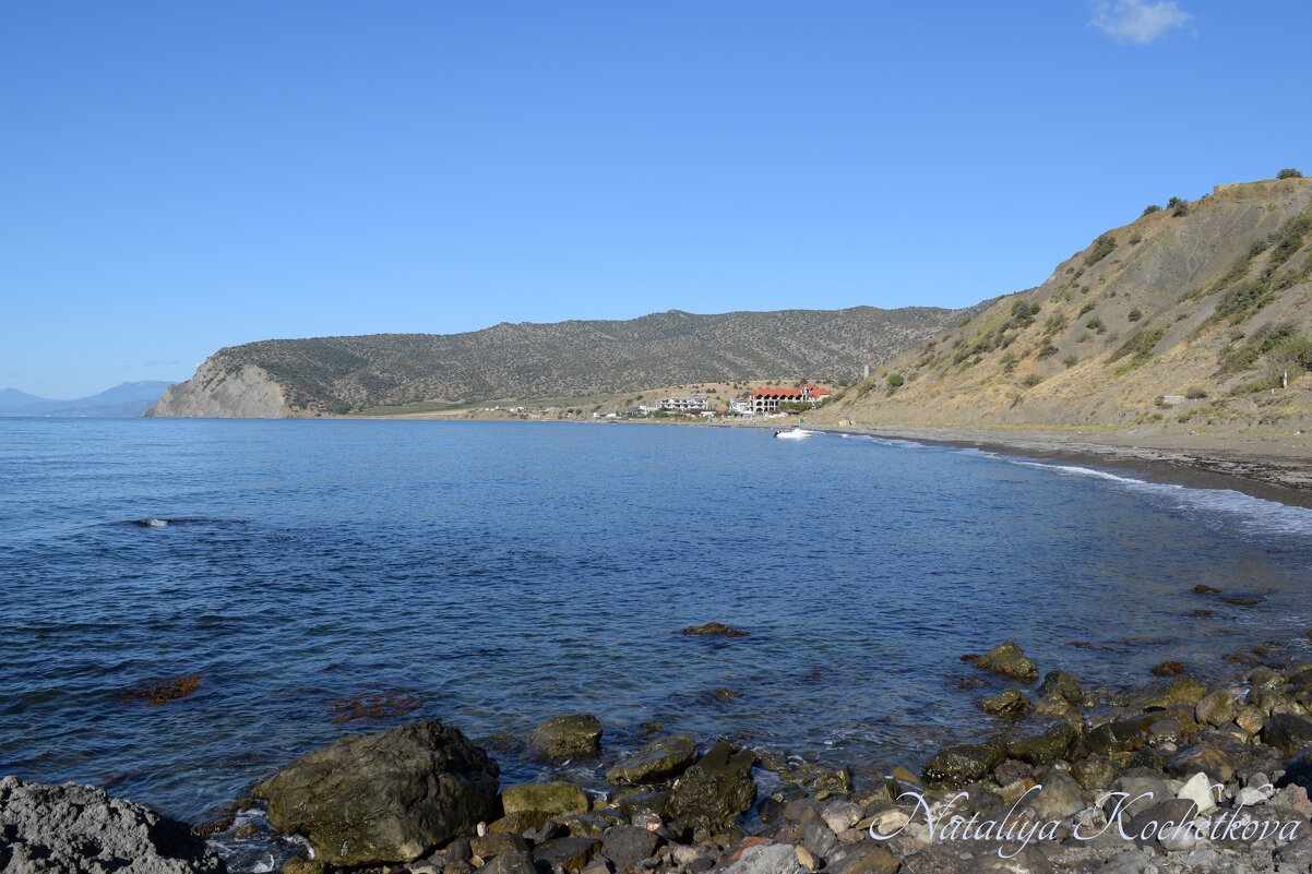 Природа Крыма - Amazing Cosmea