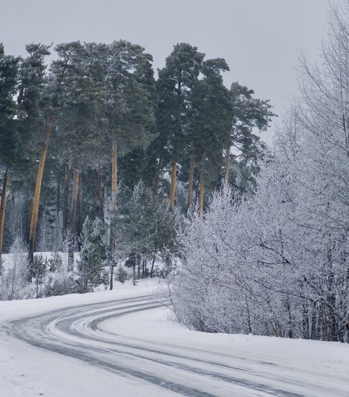 Зимний лес и извилистая дорога. - Сергей Адигамов