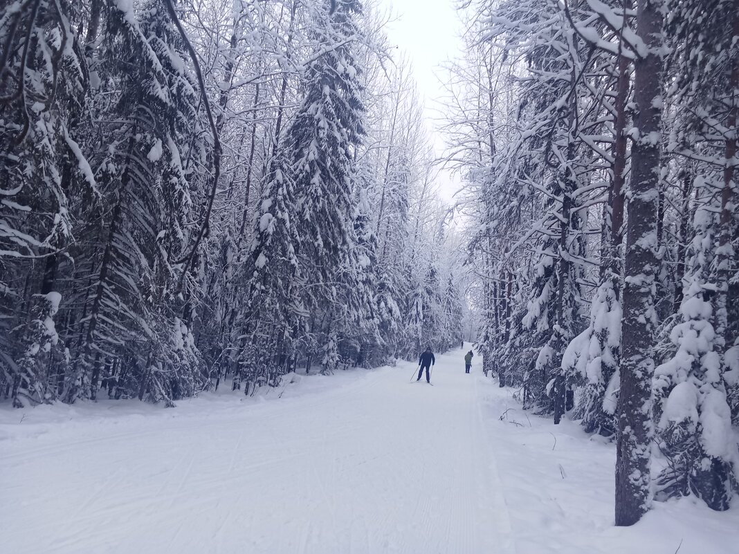 На утренней лыжне - Виктор 