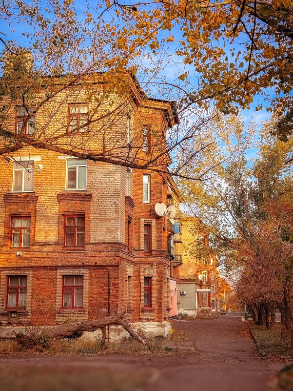 *** - Яна Горбунова