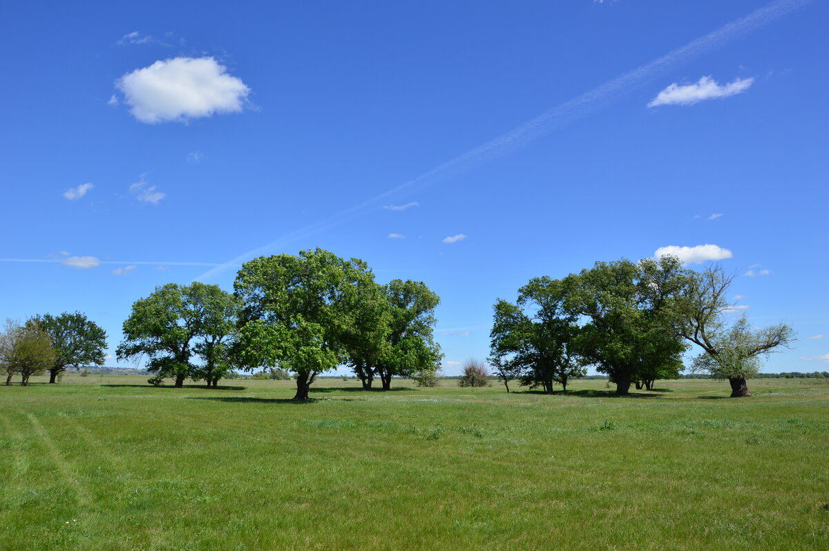 Донская степь. - Виктор 
