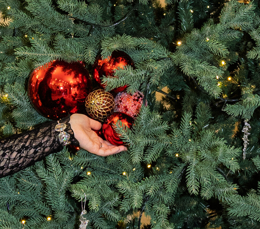 волшебное время нового года - Ольга Косачова