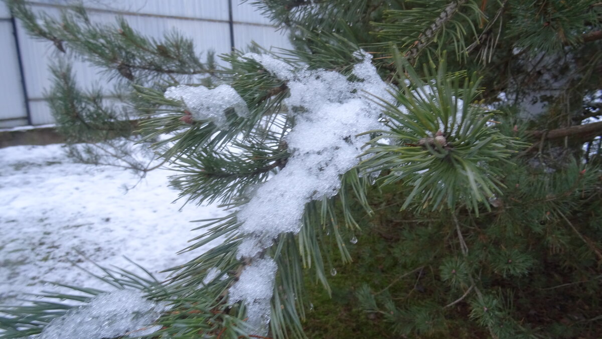 Праздничные дни заканчиваются, зима продолжается... - Татьяна Р Праздничные дни заканчиваются, зима продолжается... - Татьяна Р