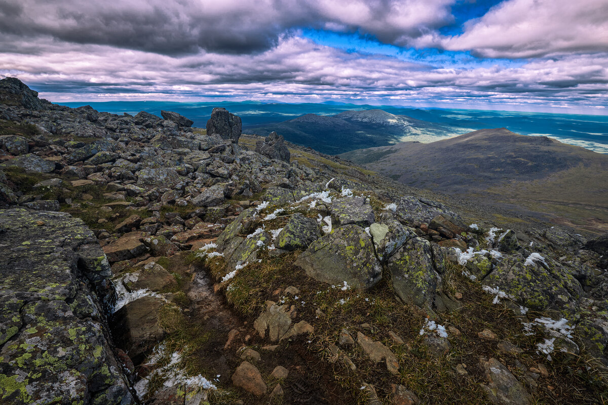 Дали без края. - Юрий кот