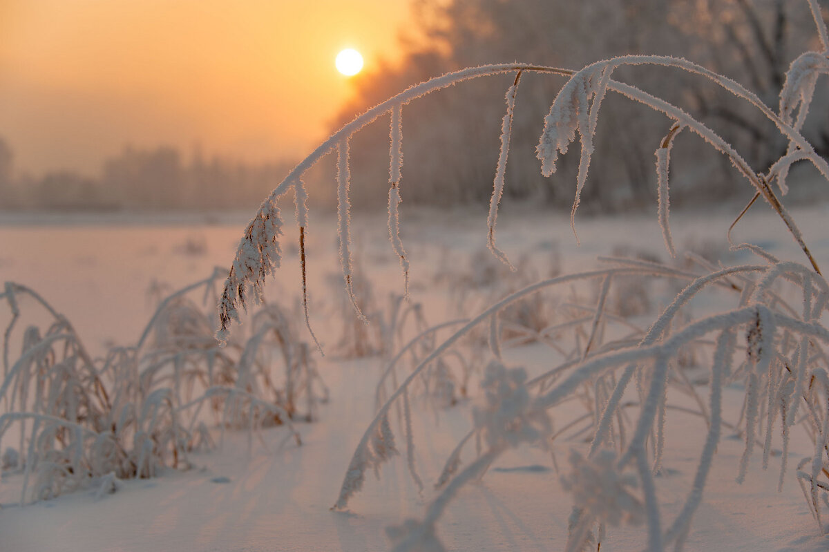 Нежность зимы - Сергей Герасимов